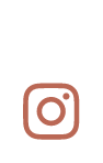 instagram-marron-icon